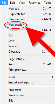 ie-new-session